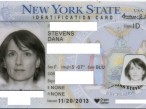 No We Are Not Joking About The Great Mind-Wasting Horror That Is The DMV