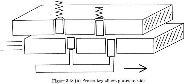 Figure 3.3 - p8c-nt.gif