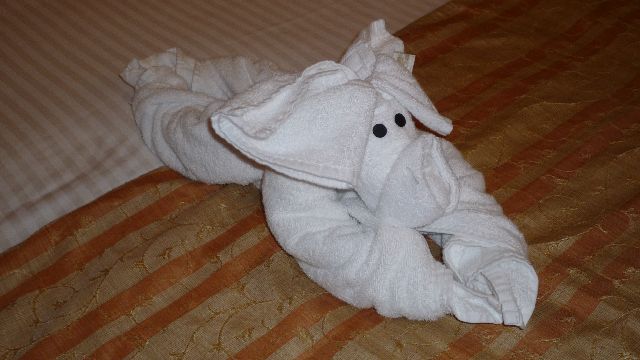 [day 3 towel creature]